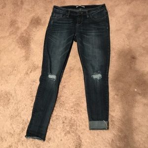 Daytrip Ankle Skinny Jeans